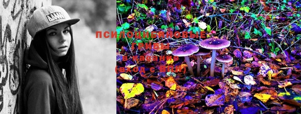 MDMA Кодинск