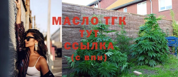 дживик Козельск