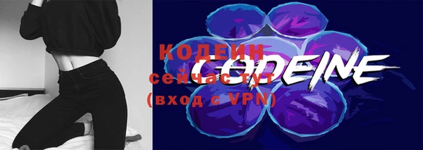 дживик Козельск