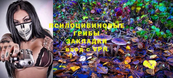 MDMA Кодинск
