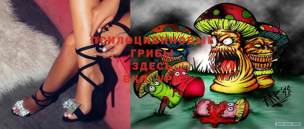 MDMA Кодинск