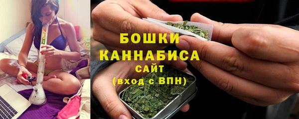дживик Козельск