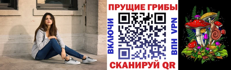Купить  Усть-Илимск  Галлюциногенные грибы мухоморы 