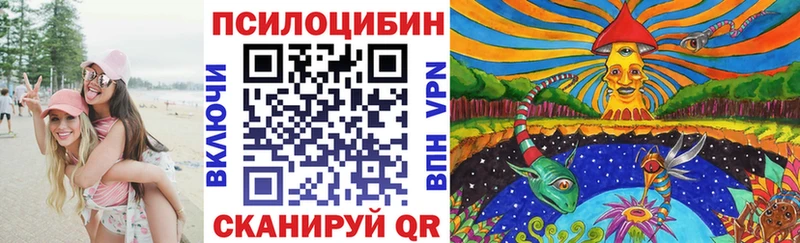 Псилоцибиновые грибы мицелий Усть-Илимск